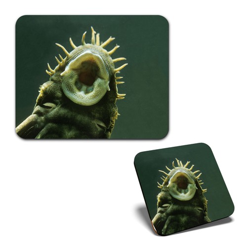 Mouse mat 1 - mouse, square