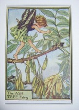 Vintage Flower Fairies Print &