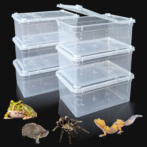 Reptile terrarium transport - reptile,