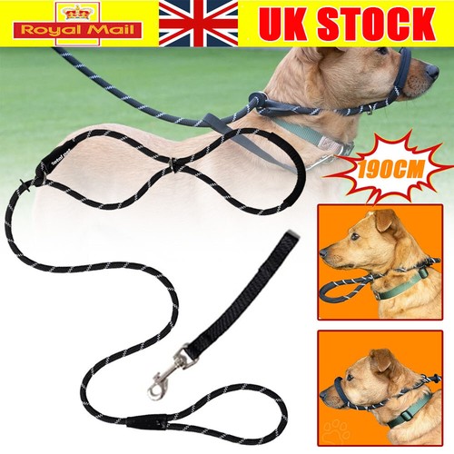 Total pet figure dog - of, lead