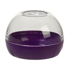 Progressive Onion Keeper -