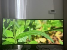 Alienware AW3821DW 38-inch IPS Gaming Monitor 144Hz, 3840x1600.