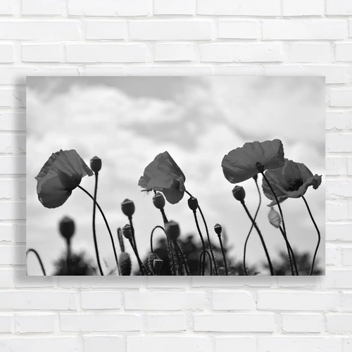 Red poppy floral - red,