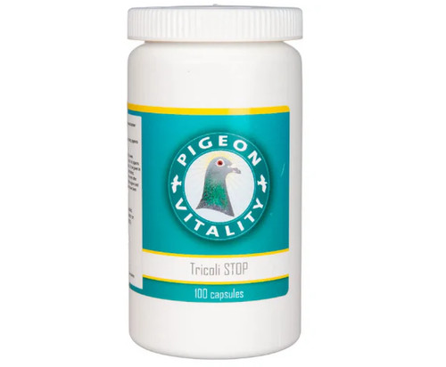 Pigeon vitality tricoli - pigeon,