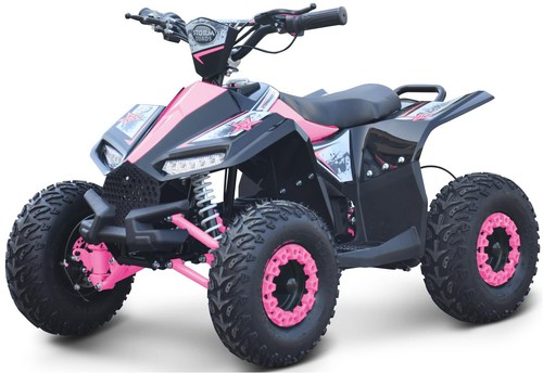 Renegade ranger 1100w 48v - ranger,