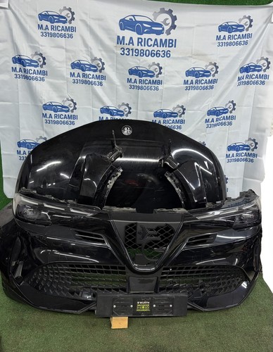 Musa musata alfa - romeo, junior