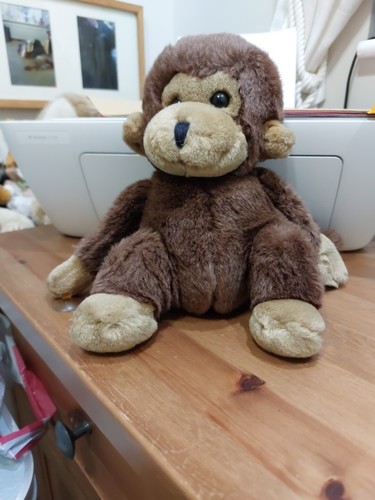 Monkey teddy bearwirh suckers - teddy,