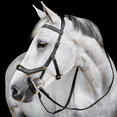 Horseware micklem multi bridle - horseware,