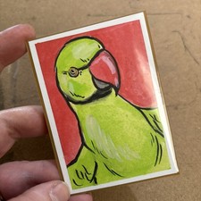 ACEO Parrot Green Indian