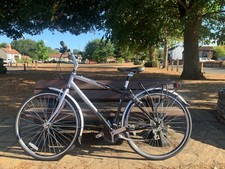 Raleigh Pioneer Metro LX