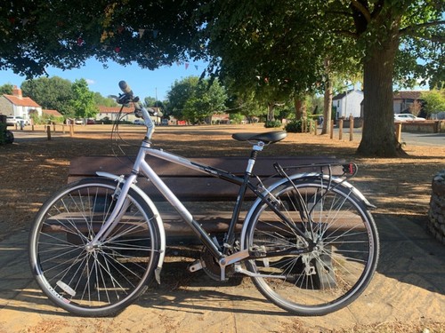 Raleigh pioneer metro - pioneer,