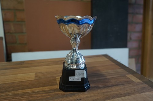 Silver trophy cup with blue - silver,