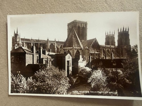 York minster cathedral from - cathedral, an
