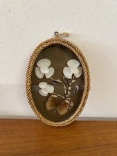 Vintage Real Euploea Core Common Crow Butterfly Taxidermy Insect In Oval Display