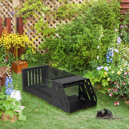Rat mouse trap catcher - trap,