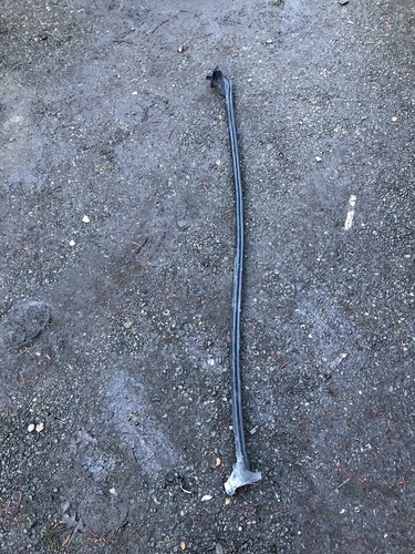 Rear door rubber - door,
