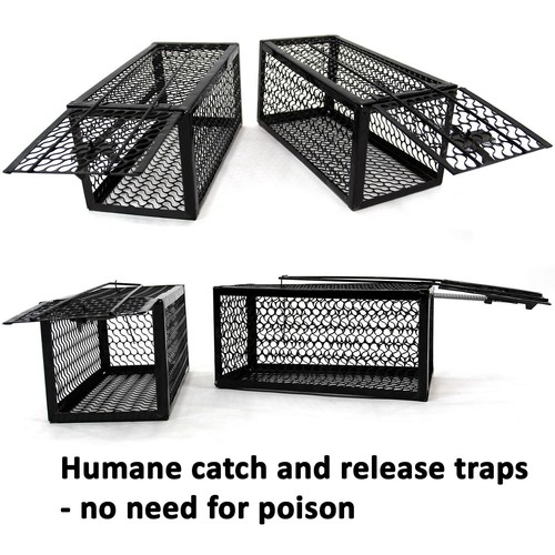 2pcs traps mice pest - pest, metal