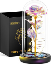 Otlonpe Valentines Rose Gifts