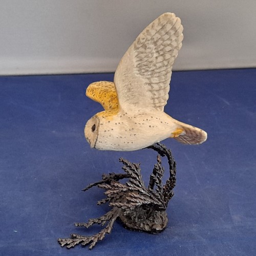 Border fine arts barn - fine, owl