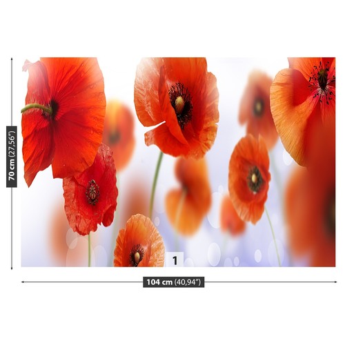 Non woven wall mural photo - woven,
