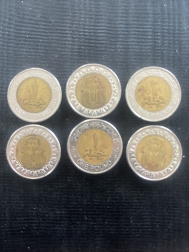 Egyptian one pound coin - egyptian,