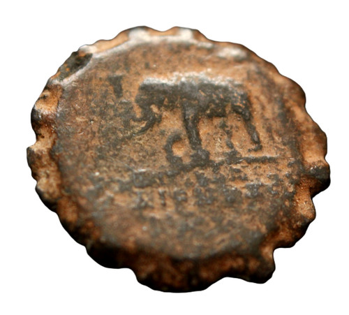 Genuine greek elephant serrate - greek,