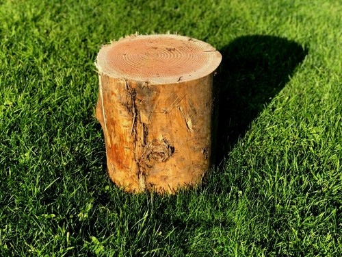 Firewood chopping block - chopping,