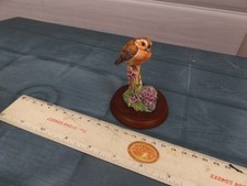 Border Fine Arts - Robin on