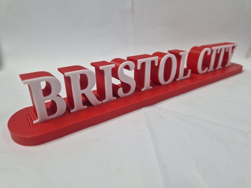 Bristol city football 3d - bristol,