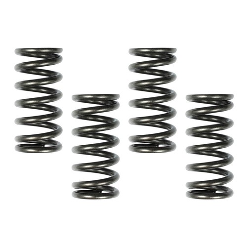 Surflex clutch spring set - clutch,