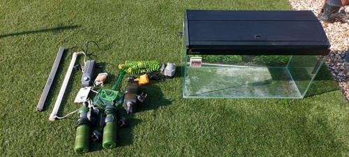 Fish tank aquarium - fish, complete