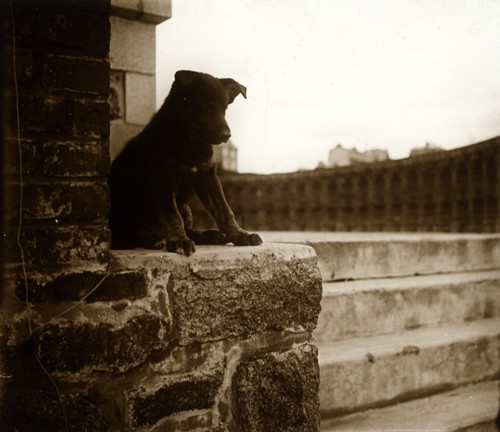 Old photo repro print - ,