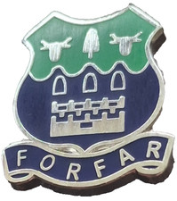 Forfar Town Small Pin Badge