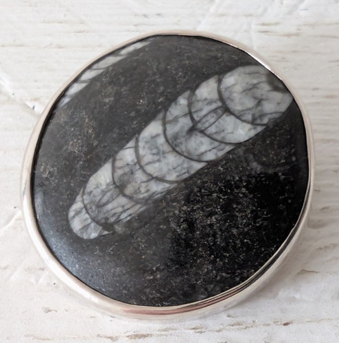 Solid silver orthoceras fossil - solid,