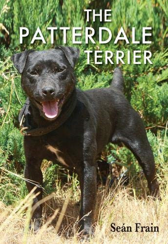 The patterdale terrier - the,