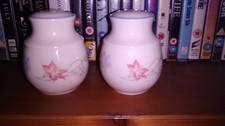 ROYAL DOULTON EXPRESSIONS SUMMER CARNIVAL CRUET SET SALT PEPPER EXCELLENT COND.
