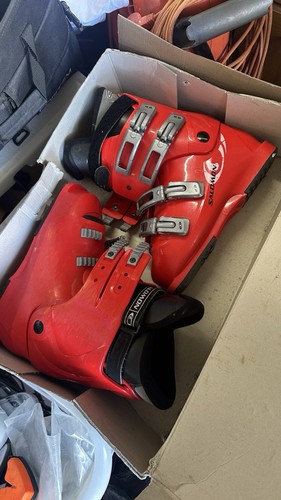 Red salomon ski - red, metallic