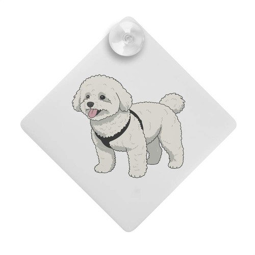 Nice fluffy dog car - 'nice,