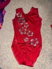 Professional Milano gymnastics