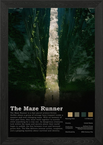 The maze runner - maze,
