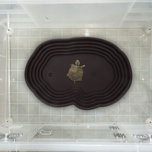 Turtle tank accessories snake - turtle,