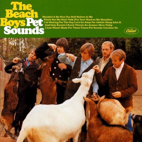 The beach boys - pet, sounds