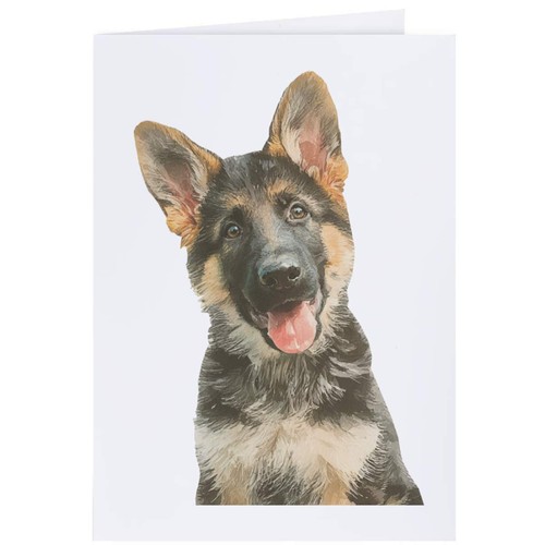 German shepherd puppy - shepherd, puppy'