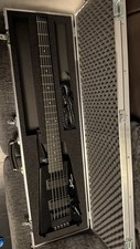 New Customised Steinberger Spirit Xt/ts Flight Case