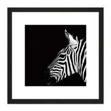 Zebra Head Animal Black White
