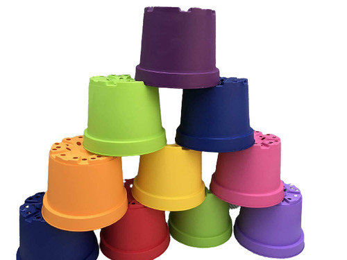 Coloured litre plant - coloured,
