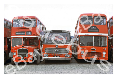 Bus photograph alder valley - photograph,