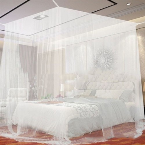 Mosquito net bed fly - fly, insect