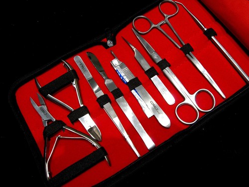 Stainless steel coral - *,