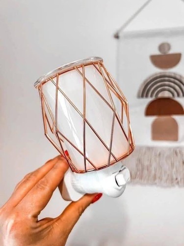 Scentsy mini plug - scentsy, in